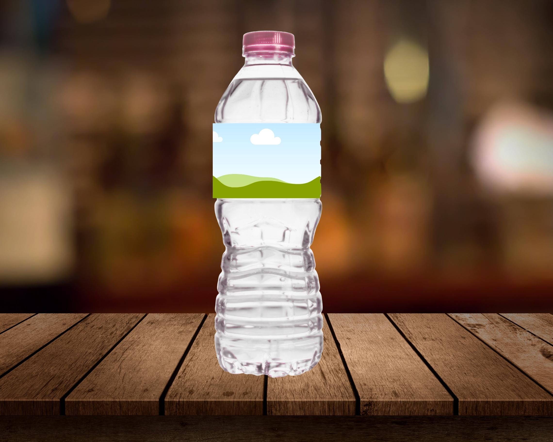 DIY Water Bottle Label Template: Birthday Party Stickers (Canva Editable, Digital Download)