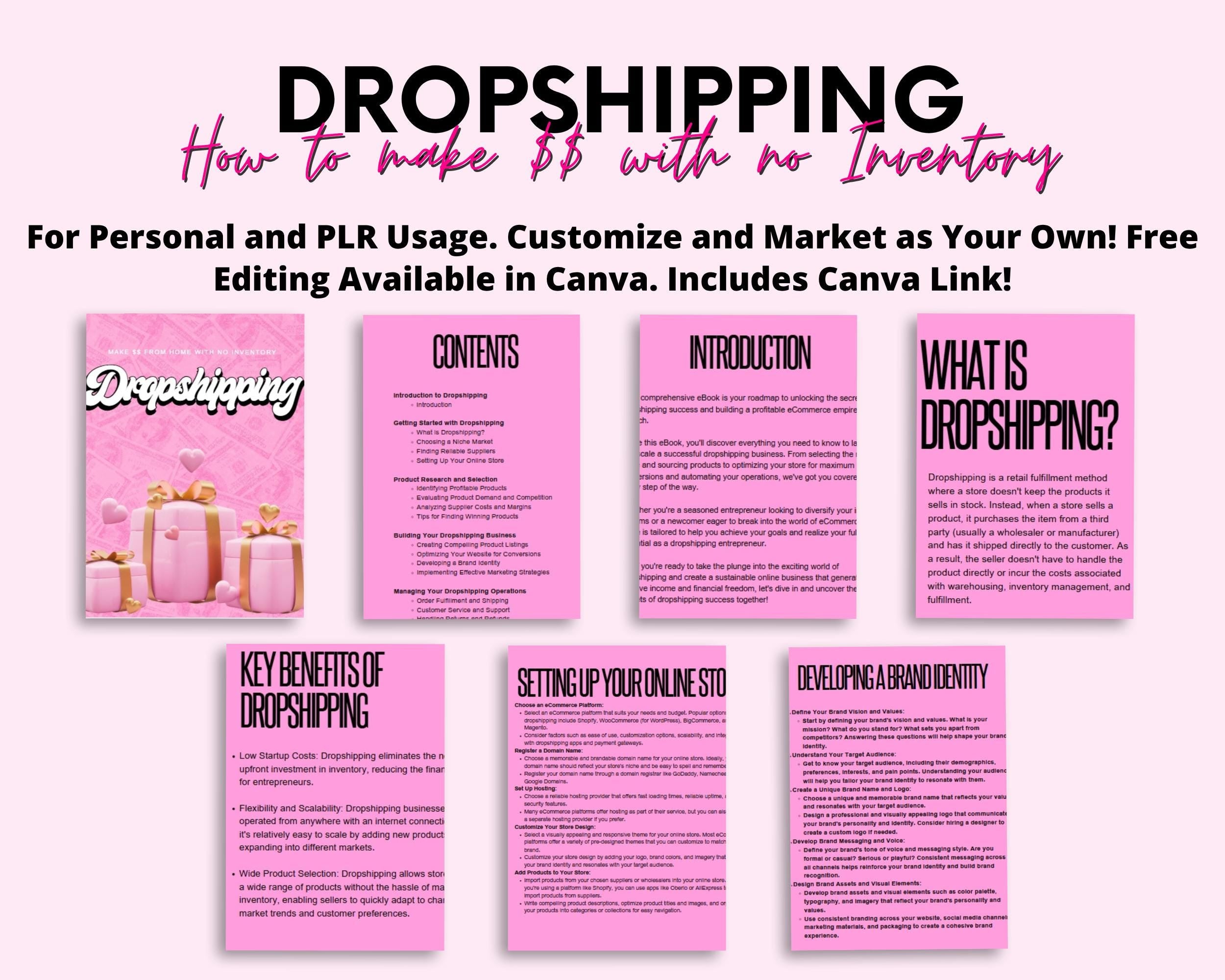 PLR Dropshipping Ebook Template: 37-Page Canva Design (Digital Download)